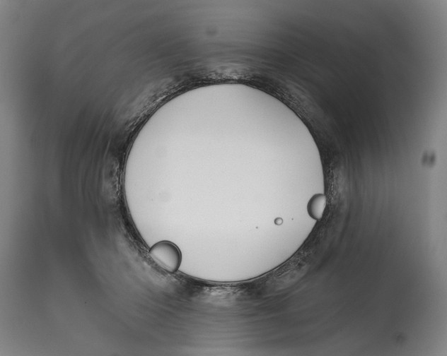 X0000115110414200911171310