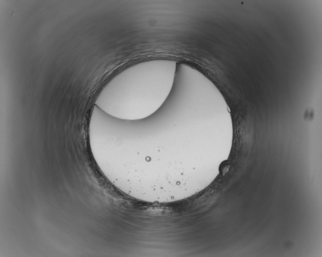 X0000115110415200911171310