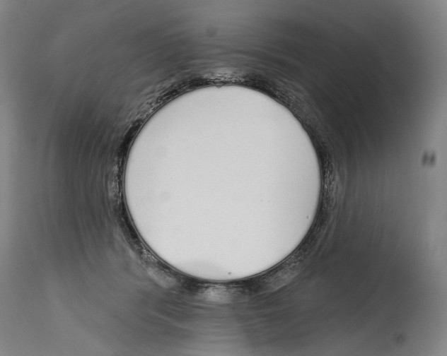 X0000115110416200911171310