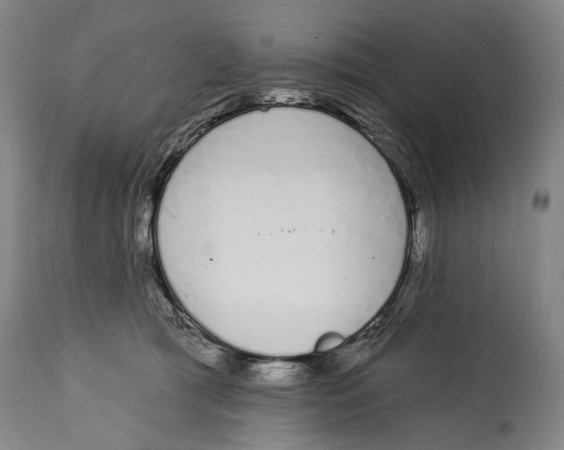 X0000115110417200911171310