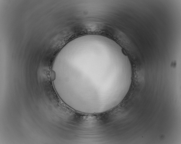 X0000115110419200911171310