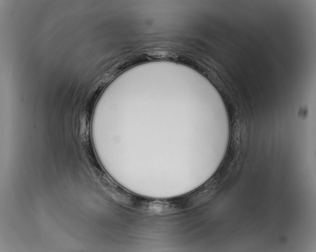 X0000115110420200911171309