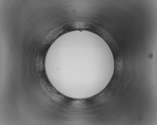 X0000115110422200911171309