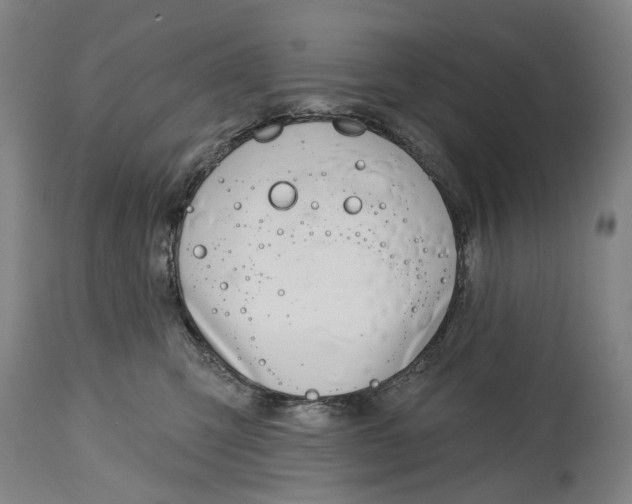 X0000115110423200911171309