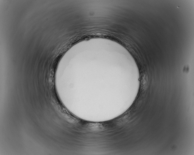X0000115110424200911171309