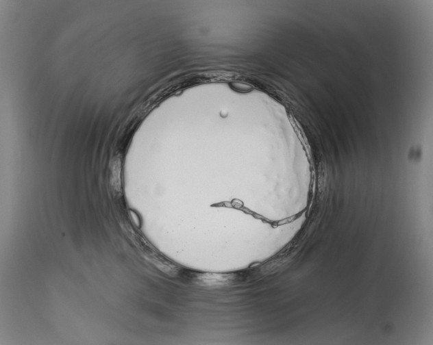 X0000115110425200911171309