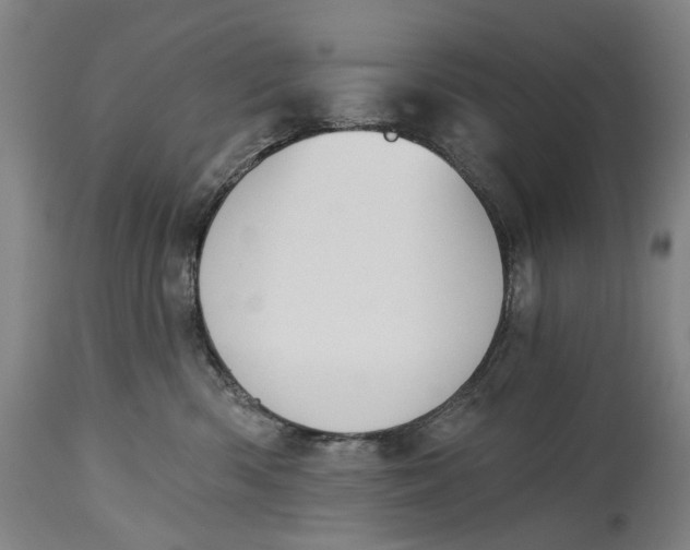 X0000115110426200911171309