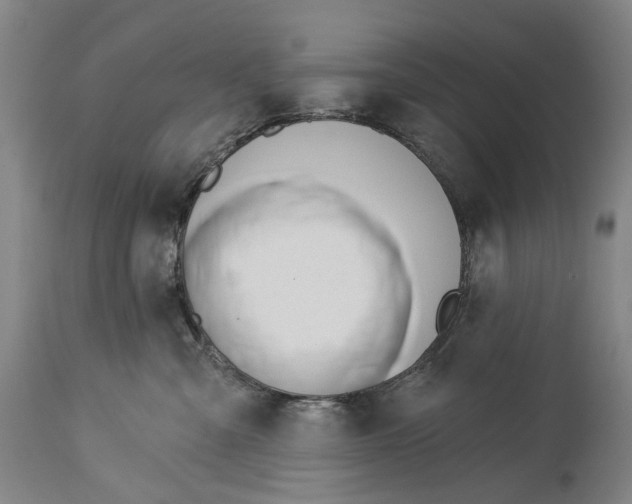 X0000115110427200911171309