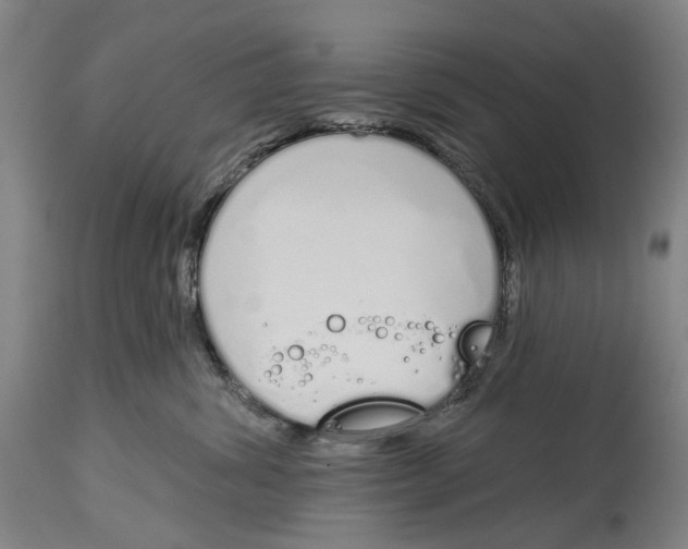 X0000115110428200911171309