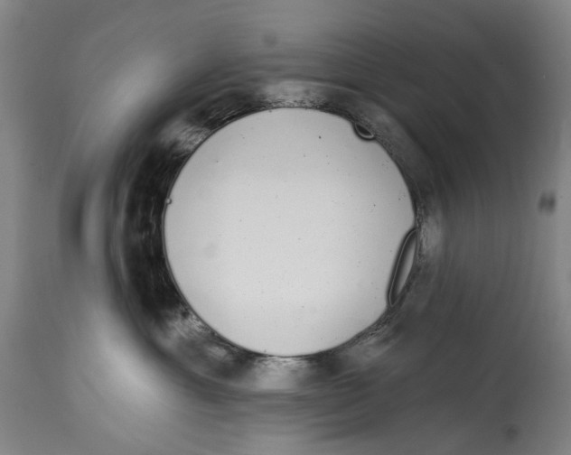 X0000115110429200911171309