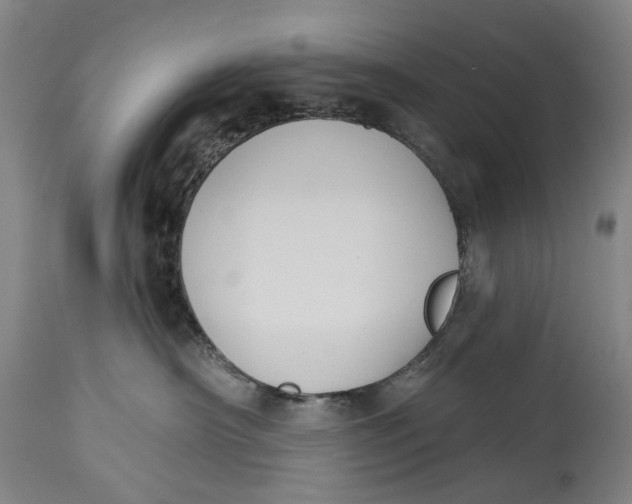 X0000115110430200911171309
