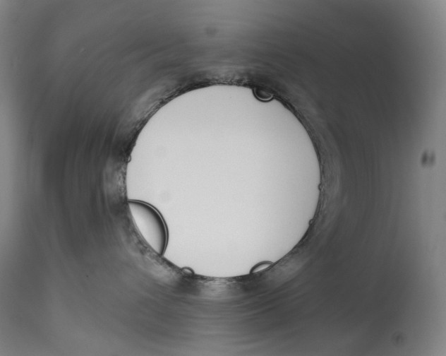 X0000115110432200911171309