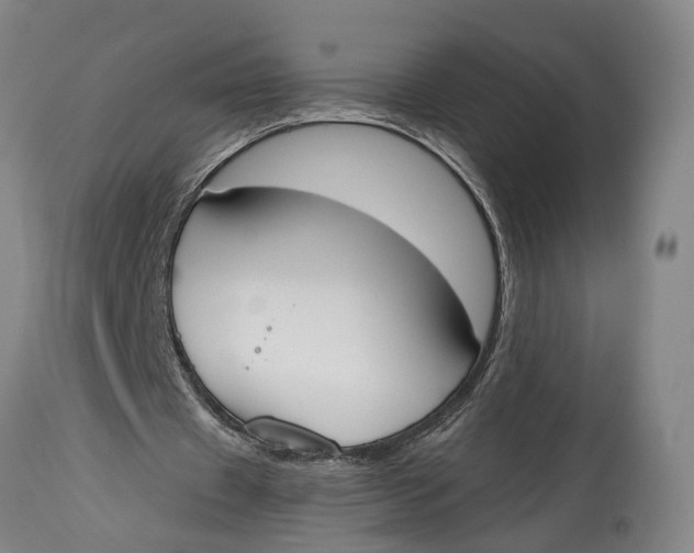 X0000115110433200911171309