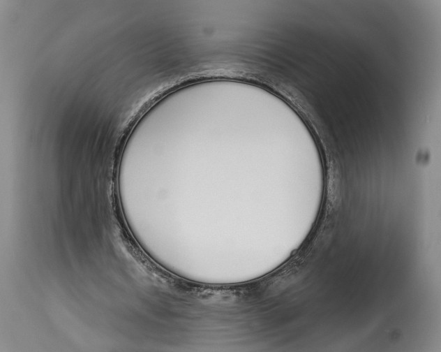 X0000115110434200911171309