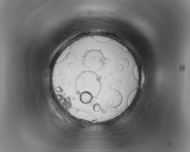 X0000115110435200911171309