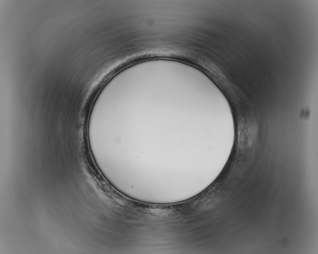 X0000115110436200911171309