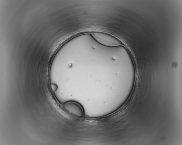 X0000115110437200911171309