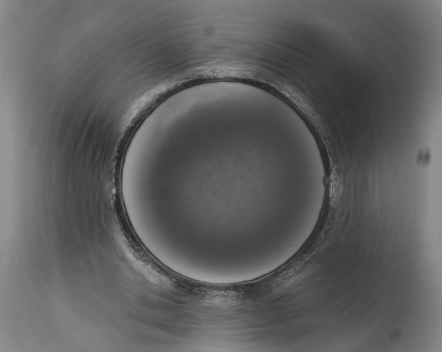 X0000115110438200911171309