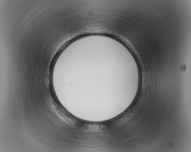 X0000115110439200911171309