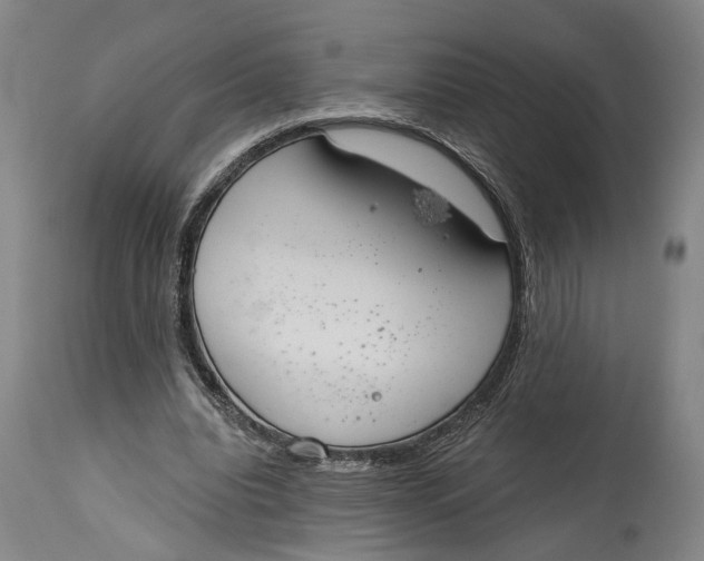 X0000115110440200911171309