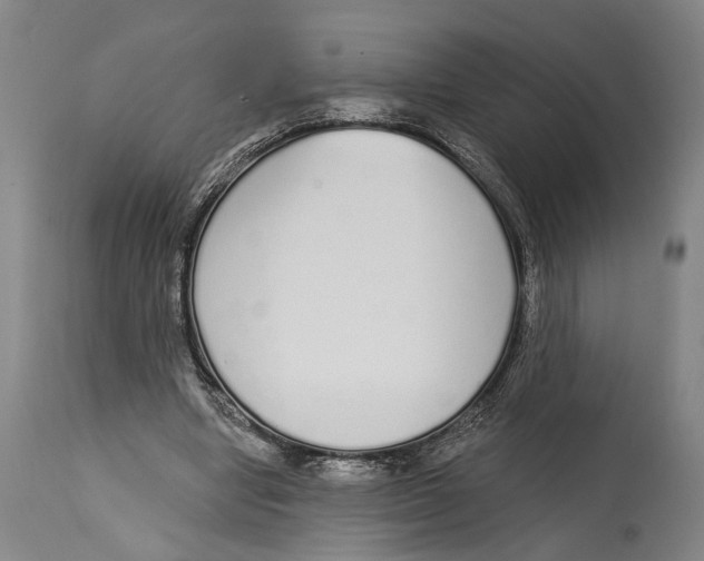 X0000115110442200911171309