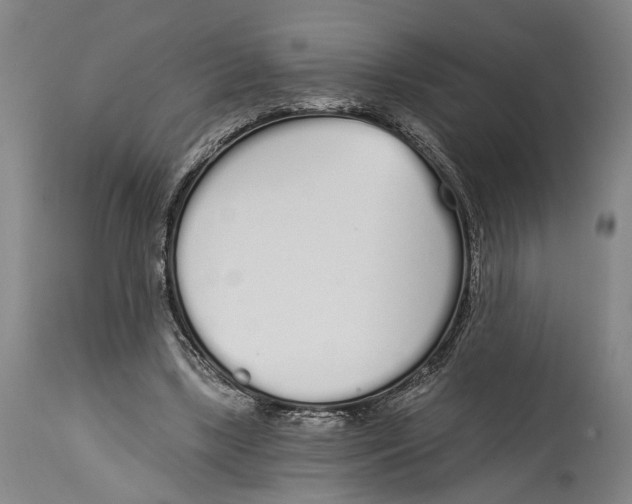 X0000115110443200911171309