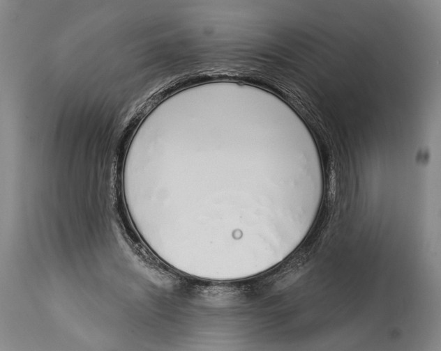 X0000115110444200911171309