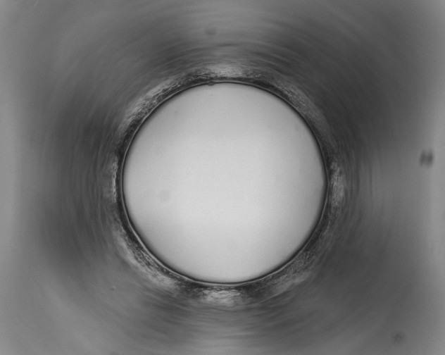 X0000115110446200911171309
