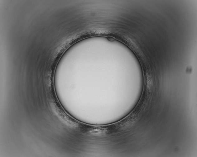 X0000115110447200911171309