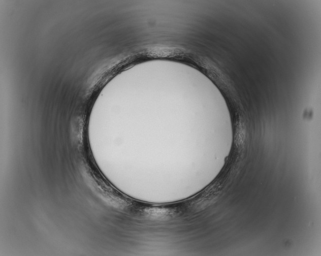 X0000115110448200911171309