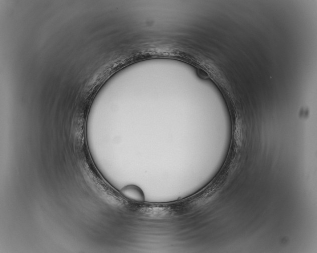 X0000115110449200911171309