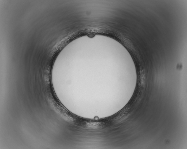 X0000115110450200911171309