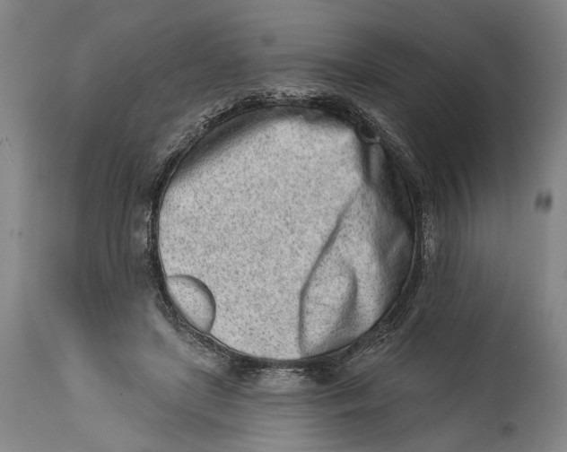 X0000115110451200911171309