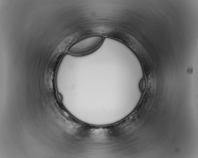 X0000115110452200911171309