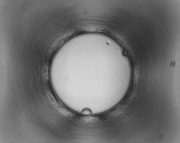 X0000115110453200911171309