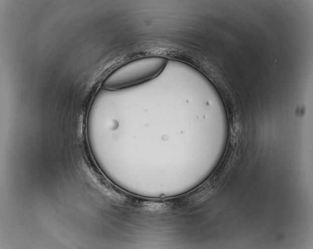 X0000115110454200911171309