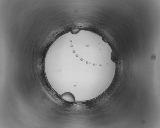 X0000115110455200911171309