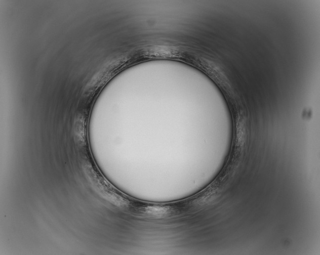 X0000115110457200911171309
