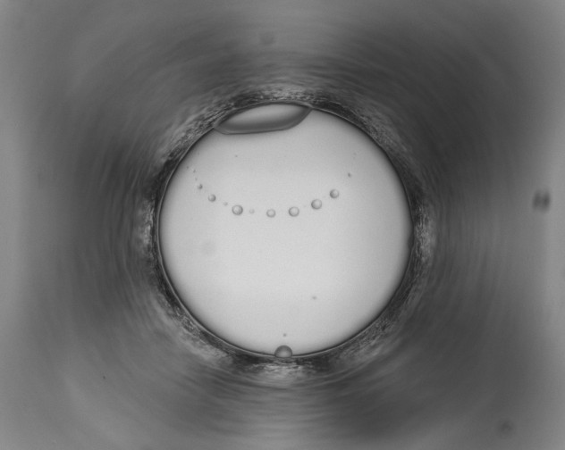 X0000115110458200911171309