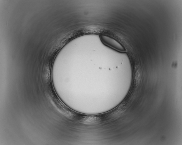 X0000115110459200911171309