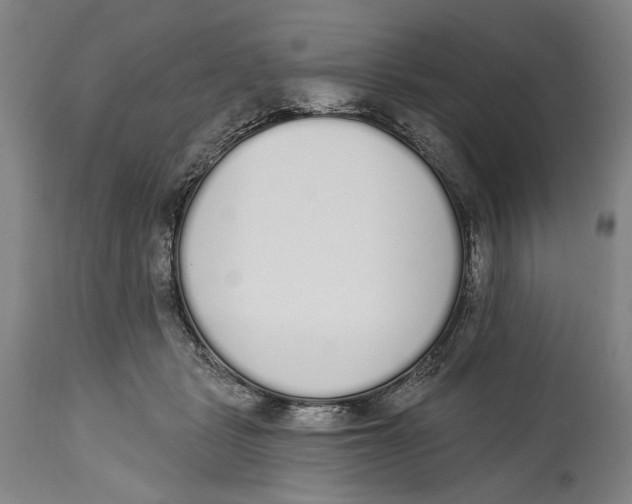 X0000115110461200911171309