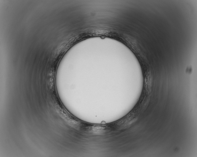 X0000115110462200911171309