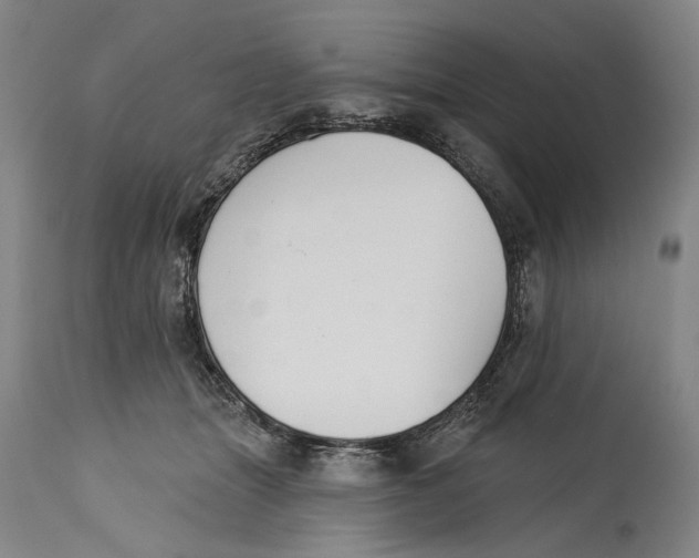 X0000115110463200911171309