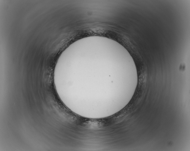 X0000115110464200911171309
