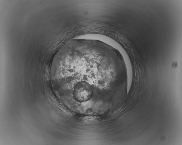 X0000115110465200911171309