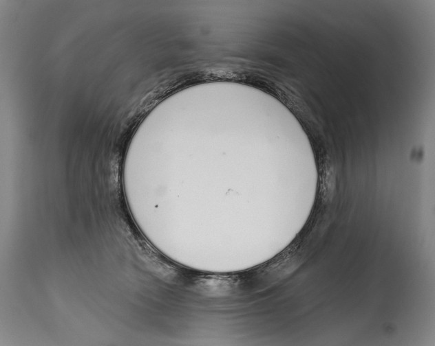 X0000115110466200911171309