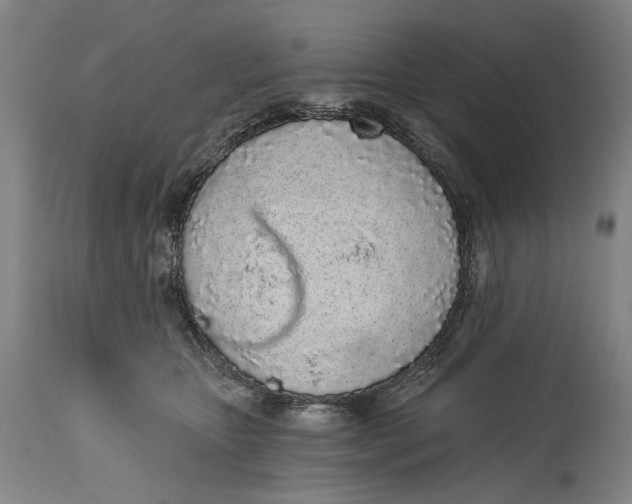 X0000115110467200911171309