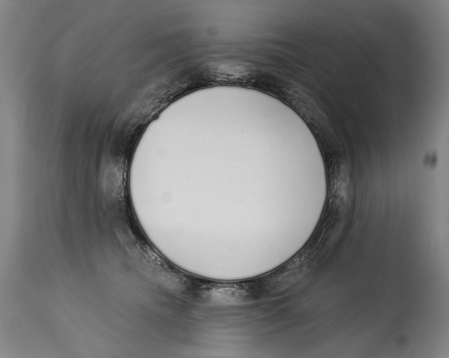 X0000115110468200911171309