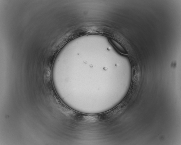 X0000115110469200911171309