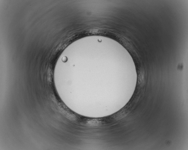 X0000115110470200911171309
